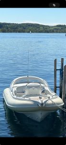 Scanner Dillenium 2999 2016 – Schlauchboot, Bild 4