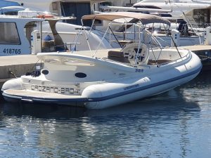 Scanner Dillenium 2999 2016 – Schlauchboot, Bild 5