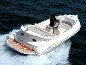 Scanner Dillenium 2999 2016 – Schlauchboot, Bild 7