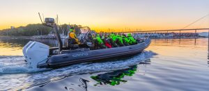 Grand D950 2026 – Neuboot, Bild 7