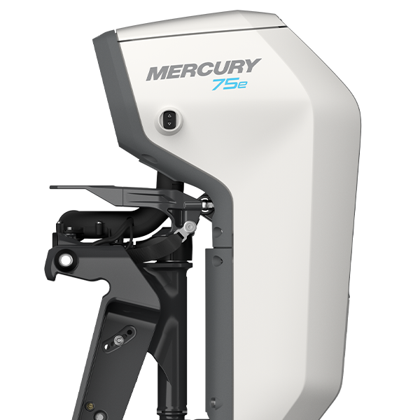 Mercury Avator