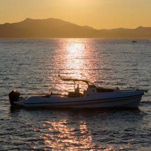 Scanner Envy 1300 – Schlauchboot, Bild 8