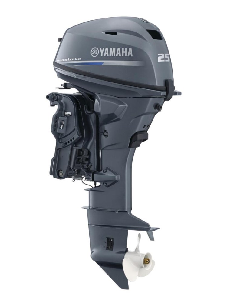 Yamaha F25